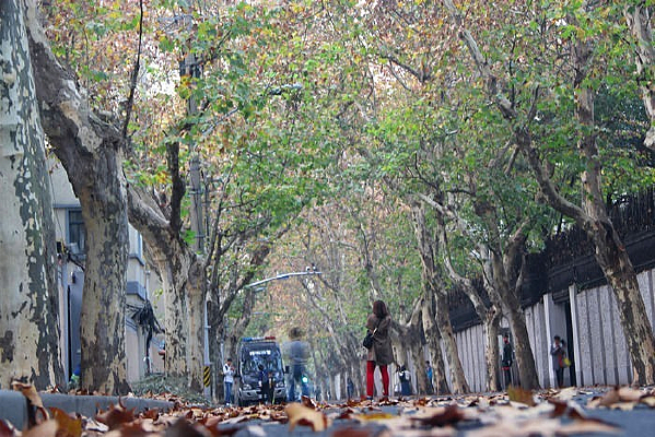 �����ֵ�