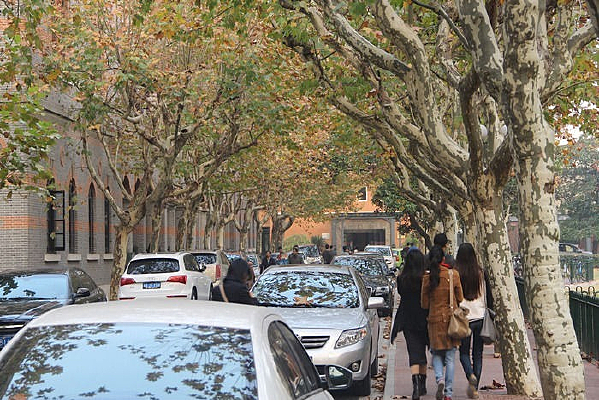 ����������·