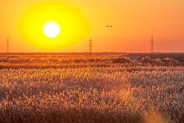 ����Ϧ����