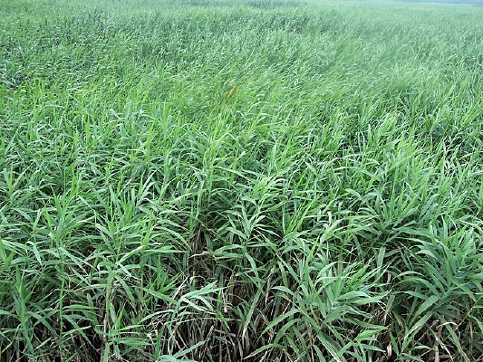 �Ϻ�����