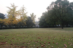 Ϧ���µ�У԰