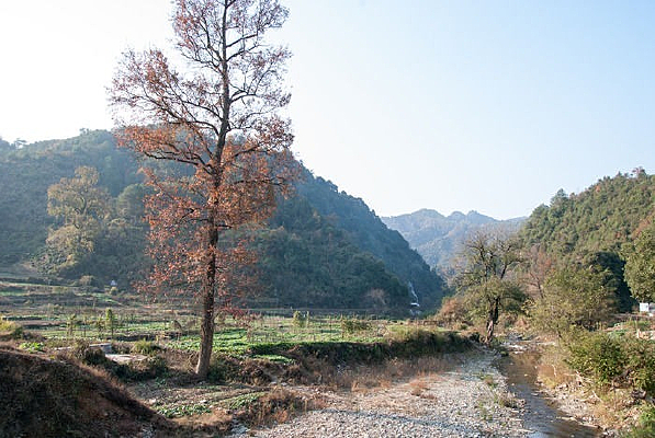 ��Դ��԰���