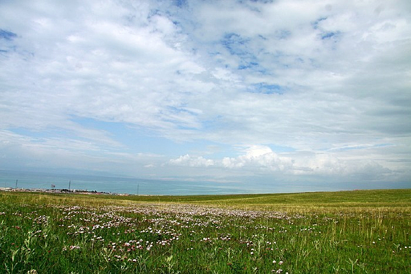 �����ʻ��ݵ�