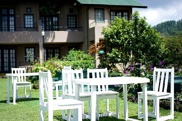 ������Ϣ��