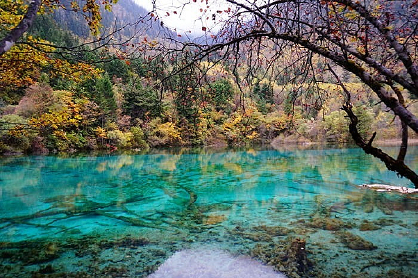 ��ʳأ���կ����