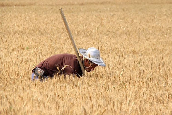 �������ũ��