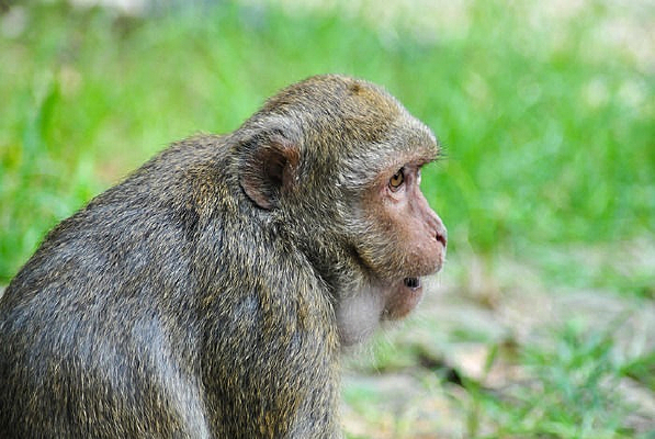 �ݵ��ϵĺ���