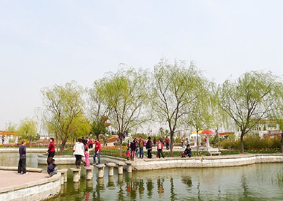 ��԰����