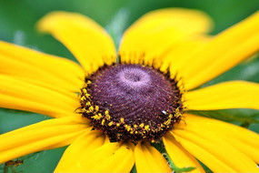 ���Ľ��ջ�