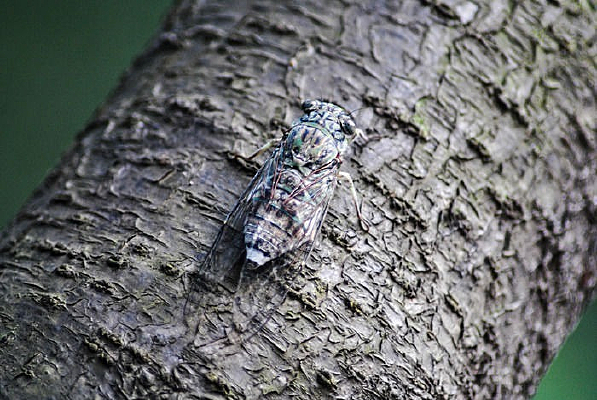 �����ϵ�֪��