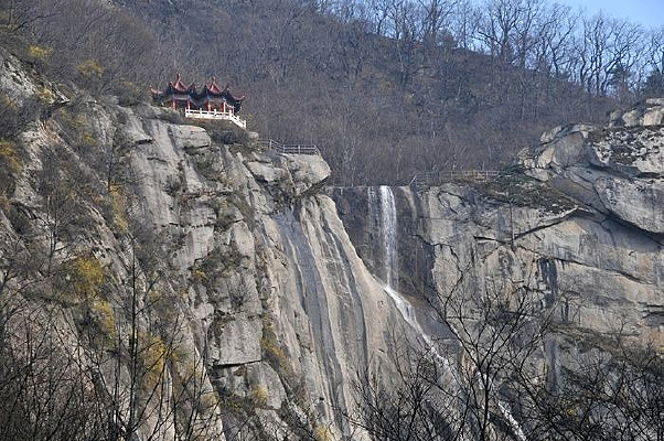 ����ľ����