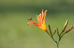 �����С�۷�