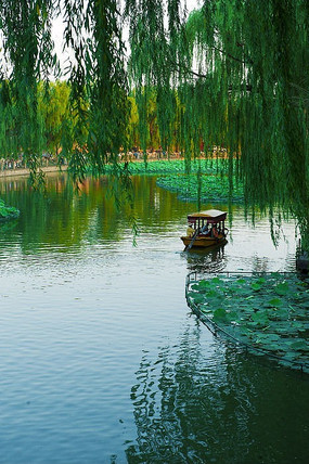 ������԰