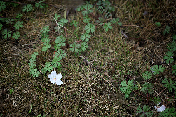 �ݵ�����