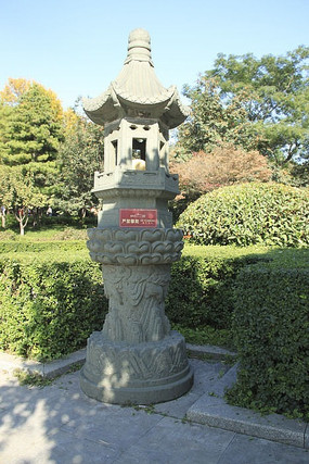 ���յ���