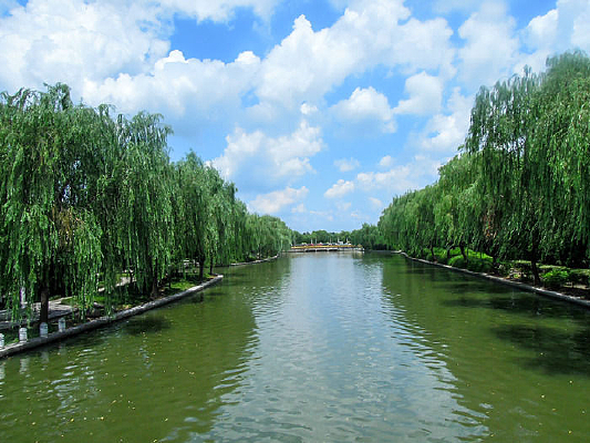 ������Ӱ