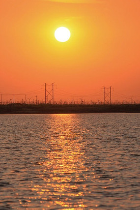 �ʻƺ�����