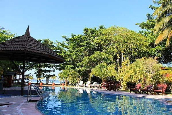 ������Ӿ