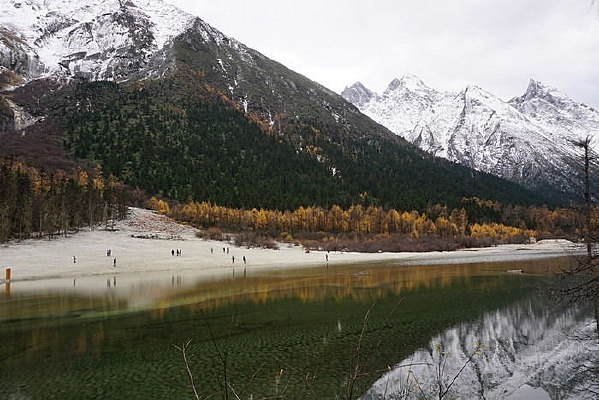 ɽ������