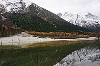 ɽ������