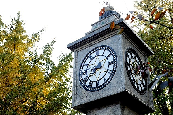 ��������