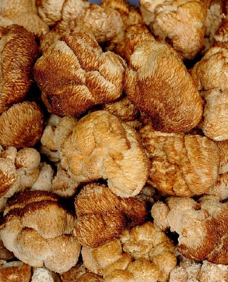 ������ҩ