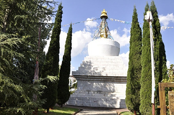 ���������Ĳ������