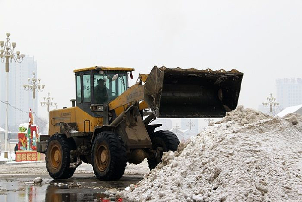 ���л���������ѩ