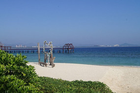 ��̲����