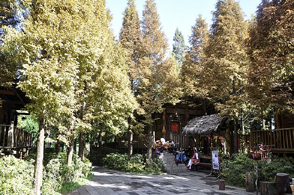 ������Ů