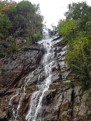 ��ũ���ٲ�