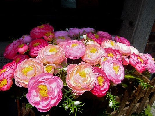 ����õ��