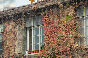 ����һ�ȴ�