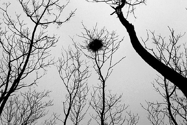 �¶�����