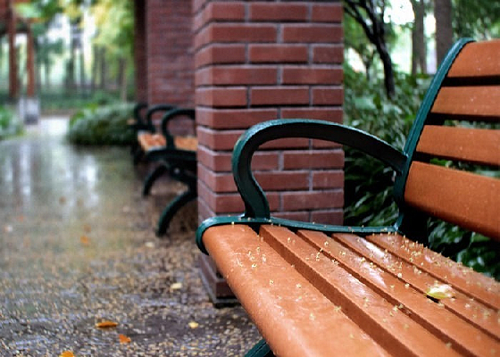 ��԰������Ҷ