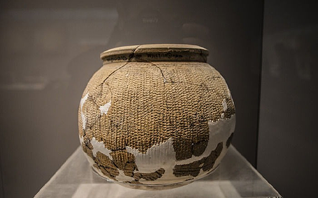 ����Ŵ�����