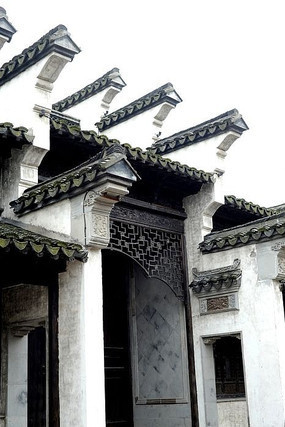 �Ŷ�����