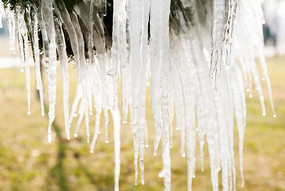 ��֦�ϱ���