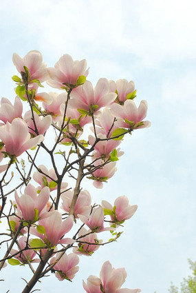 �����µ�������