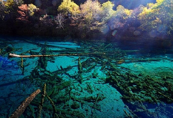 �ŵ�����