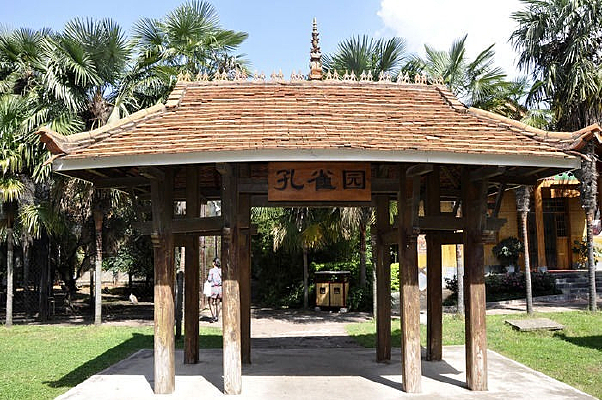 ����ͤ��