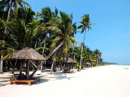 ����ɳ̲Ҭ��