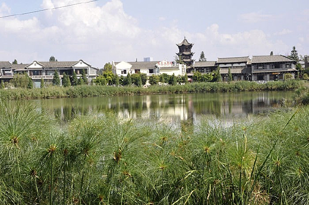 ������������������