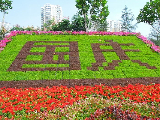 ��ɫ�Ļ���