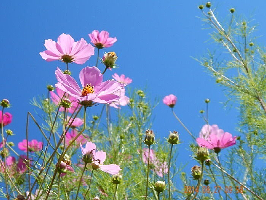 �����̵ػ���