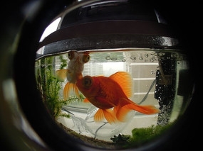 �����µĽ���