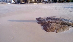 ��̲���糿