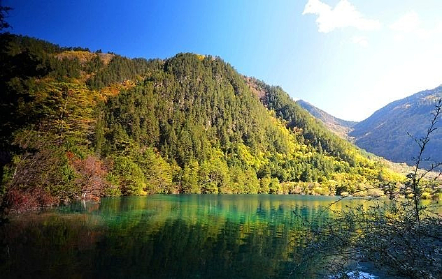 �����ʴ�