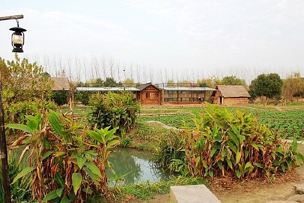 ��ľ����