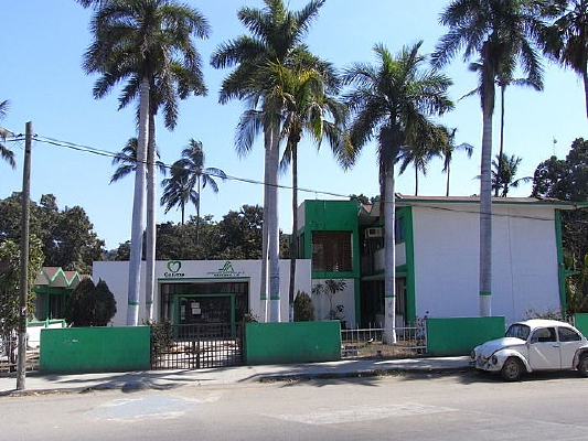 ī����С��